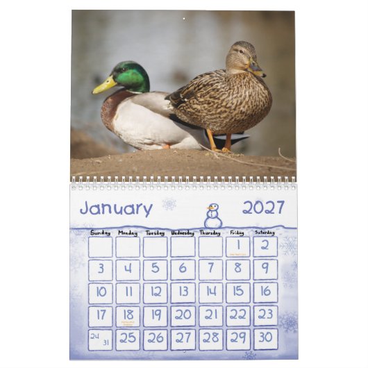 Mallard Ducks Natuur Agenda Kalender (Jan 2027)