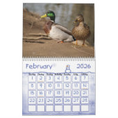 Mallard Ducks Natuur Agenda Kalender (Feb 2026)