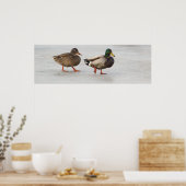 Mallard Ducks op Ice Poster (Keuken)