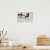 Mallard Ducks op Ice Poster (Keuken)
