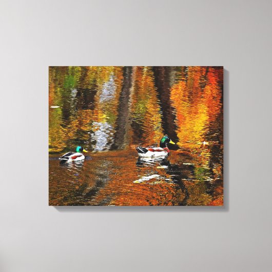 Mallard Ducks op jaarkleuren Canvas Afdruk (Voorkant)