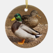 Mallard Ducks Ornament (Voorkant)