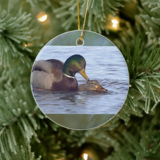Mallard Ducks Ornament  (Boom)