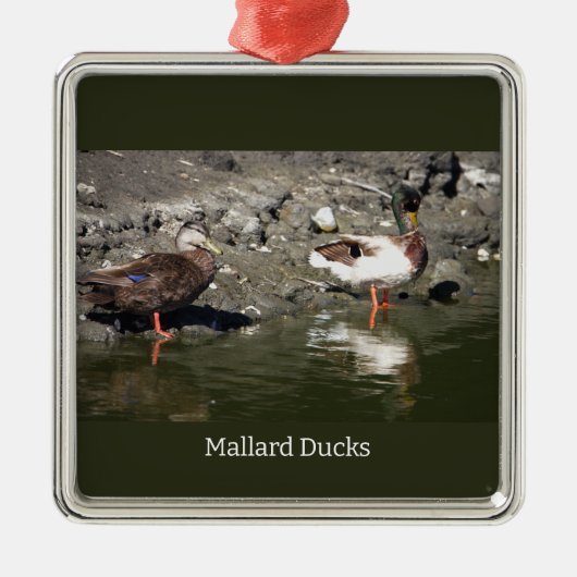 Mallard Ducks Ornament (Voorkant)