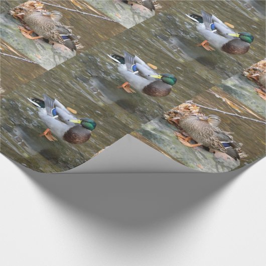 Mallard Ducks Pair Wrapping Paper Cadeaupapier (Hoek)
