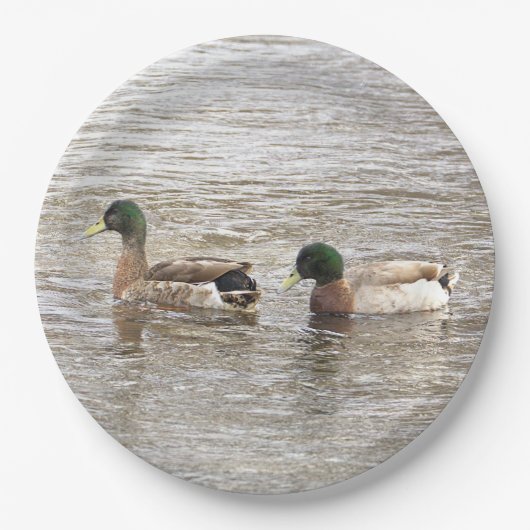 Mallard Ducks Photo Paper Plates Papieren Bordje (Voorkant)