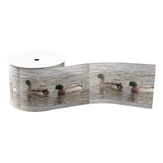 Mallard Ducks Photo Ribbon Grosgrain Lint (Spoel)