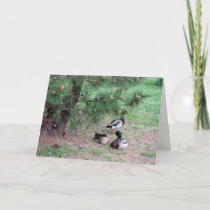 Mallard Ducks & Pines Birthday Card w Bible Verse2 Kaart