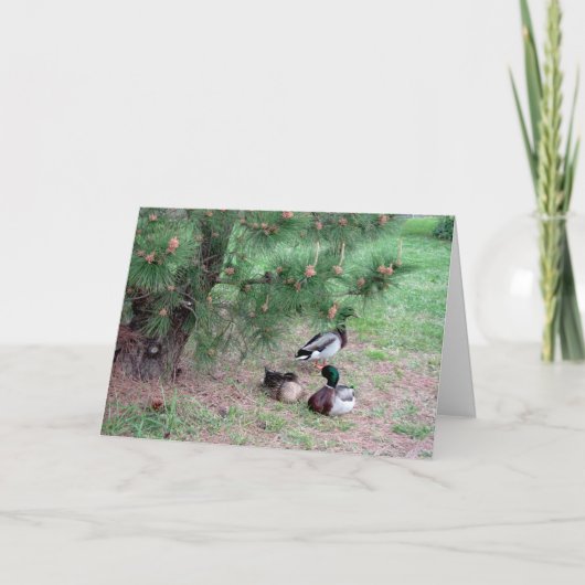 Mallard Ducks & Pines Verjaardag Kaart w Bijbelver (Voorkant)