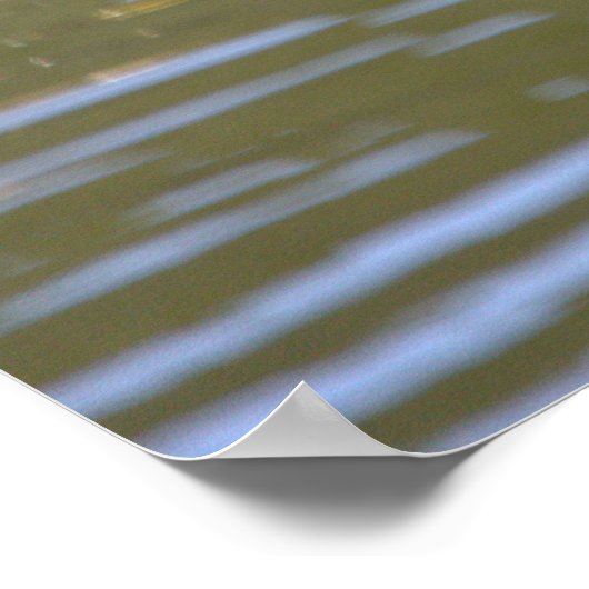 Mallard Ducks Poster (Hoek)