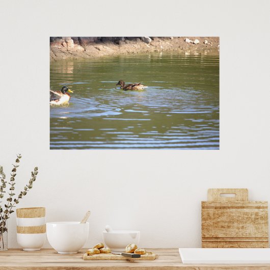 Mallard Ducks Poster (Keuken)