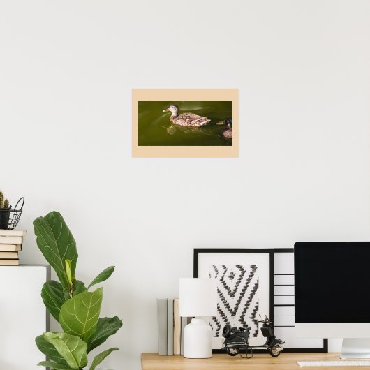 Mallard Ducks Poster (Thuiskantoor)