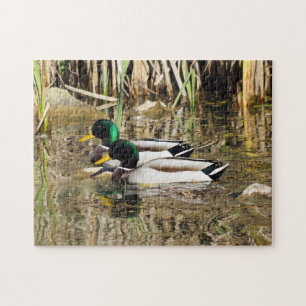 Mallard Ducks Puzzle Legpuzzel