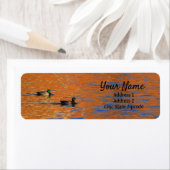Mallard Ducks Reflection Adreslabel Etiket (Insitu)
