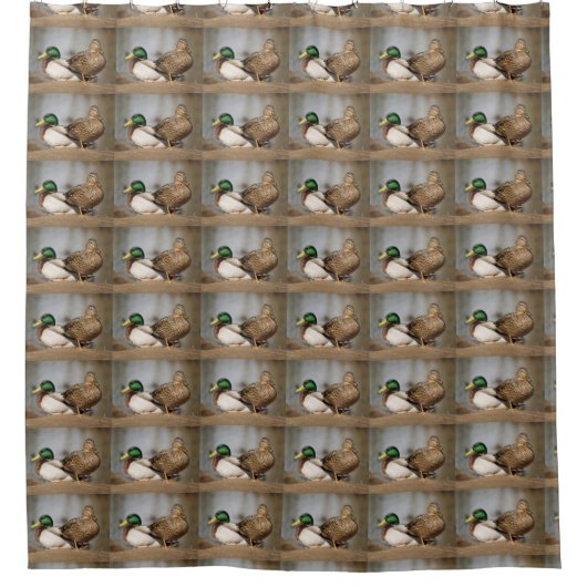 Mallard Ducks Shower Curtain Douchegordijn (Voorkant)