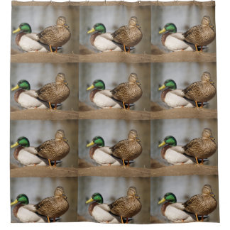 Mallard Ducks Shower Curtain Douchegordijn