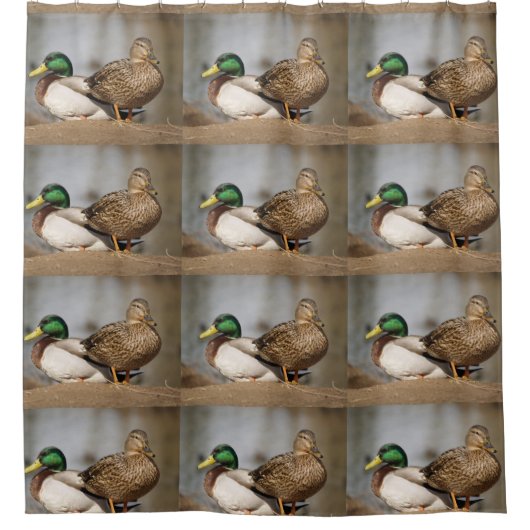 Mallard Ducks Shower Curtain Douchegordijn (Voorkant)