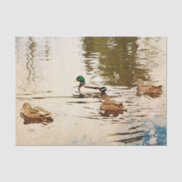 Mallard Ducks Tissue Paper Tissuepapier