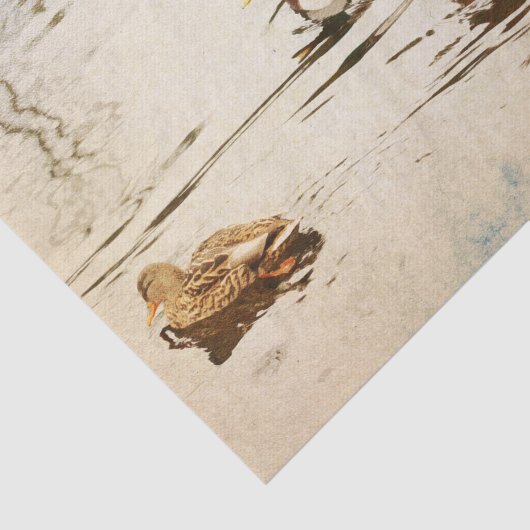 Mallard Ducks Tissue Paper Tissuepapier (Detail)