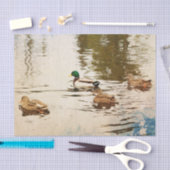 Mallard Ducks Tissue Paper Tissuepapier (Craft)