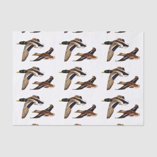 Mallard Ducks U-Pick Background Color Tissuepapier (Voorkant)