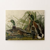 Mallard Ducks van Audubon's Birds of America Legpuzzel (Horizontaal)