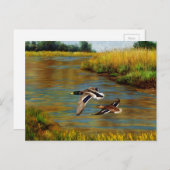 Mallard Ducks vliegen over de hond Briefkaart (Voorkant / Achterkant)