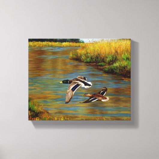 Mallard Ducks vliegen over de hond Canvas Afdruk (Voorkant)