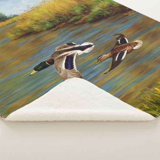 Mallard Ducks vliegen over de hond Sherpa Deken (3/4)