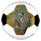 Mallard Ducks vliegen over de hond Voetbal (Gedraaid)