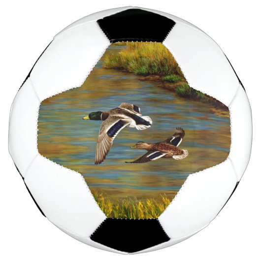 Mallard Ducks vliegen over de hond Voetbal (Voorkant)
