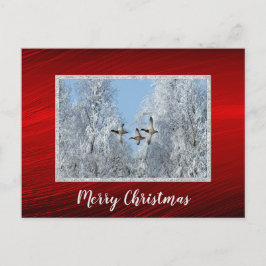 Mallard Ducks Vliegende Sneeuw Foto Kerstmis Briefkaart