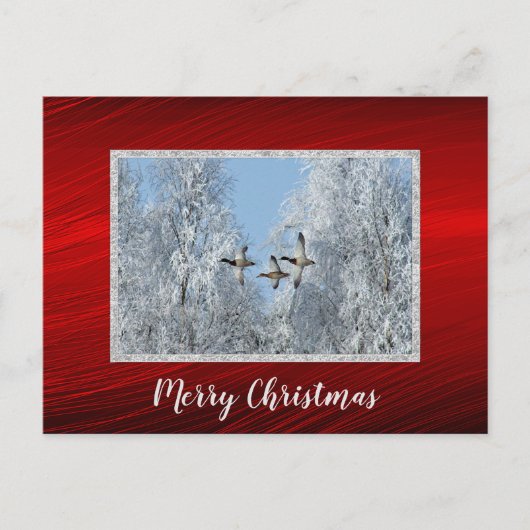 Mallard Ducks Vliegende Sneeuw Foto Kerstmis Briefkaart (Voorkant)