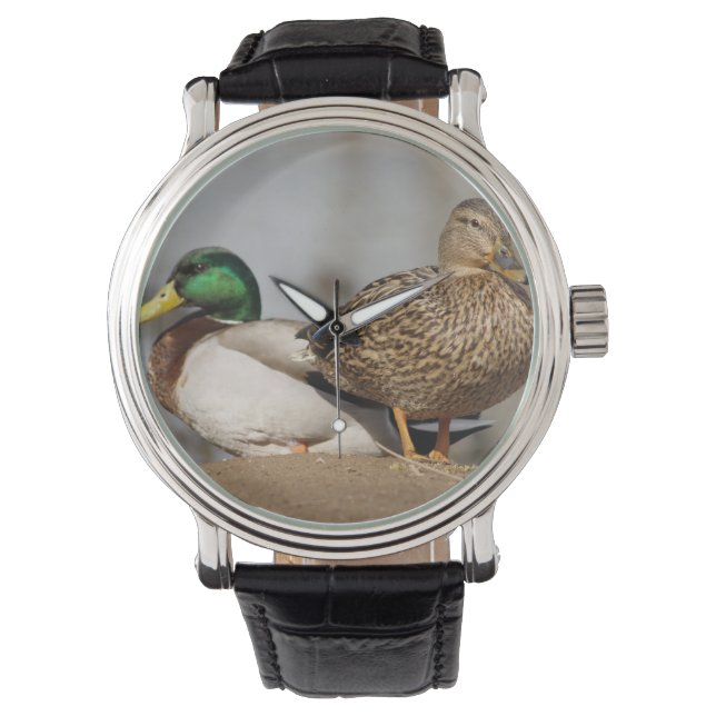 Mallard Ducks Watch Horloge (Voorkant)