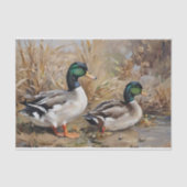 Mallard Ducks Waterverf Decoupage Tissuepapier (Voorkant)