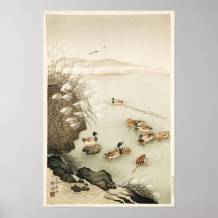 Mallard Ducks zwemmen door Pampas Grass Poster