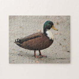 Mallard Duclair Bibbed Odd Duck Legpuzzel