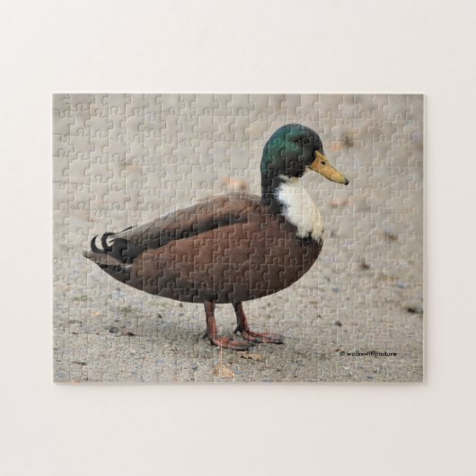 Mallard Duclair Bibbed Odd Duck Legpuzzel (Horizontaal)