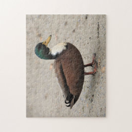 Mallard Duclair Bibbed Odd Duck Legpuzzel