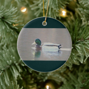 Mallard-eend Foto Ornament