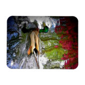 Mallard eend Magnet-Design 2 Magneet (Horizontaal)