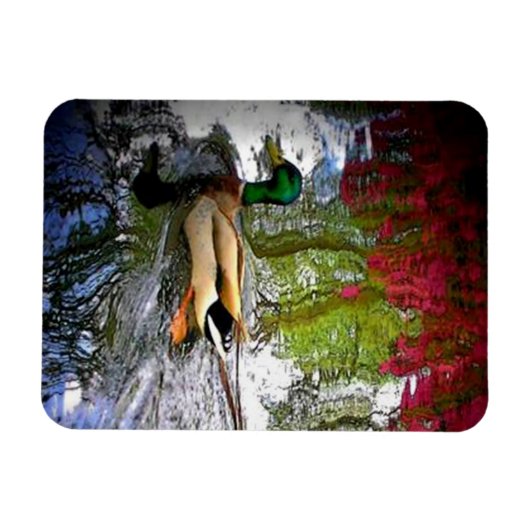 Mallard eend Magnet-Design 2 Magneet (Horizontaal)