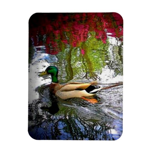 Mallard eend Magnet-Design 2 Magneet (Verticaal)