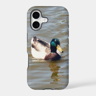 Mallard-eend nauwelijks aanwezig iPhone 5/5S hoesj