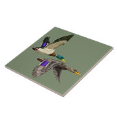 Mallard eendenpaar in vlucht tegeltje (Zijkant)