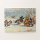 Mallard en blauwgroen in de sneeuw, Vogels Legpuzzel (Horizontaal)