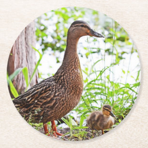 Mallard en Ducklings van Shirley Taylor Ronde Kartonnen Onderzetter