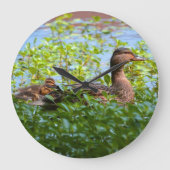 Mallard en Ducklings zwemmen door Shirley Taylor Grote Klok (Voorkant)