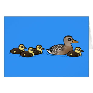 Mallard en vier eenden