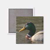 Mallard Face Magneet (Voorkant / Achterkant)